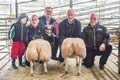 Champion Lambs Beltex x-2